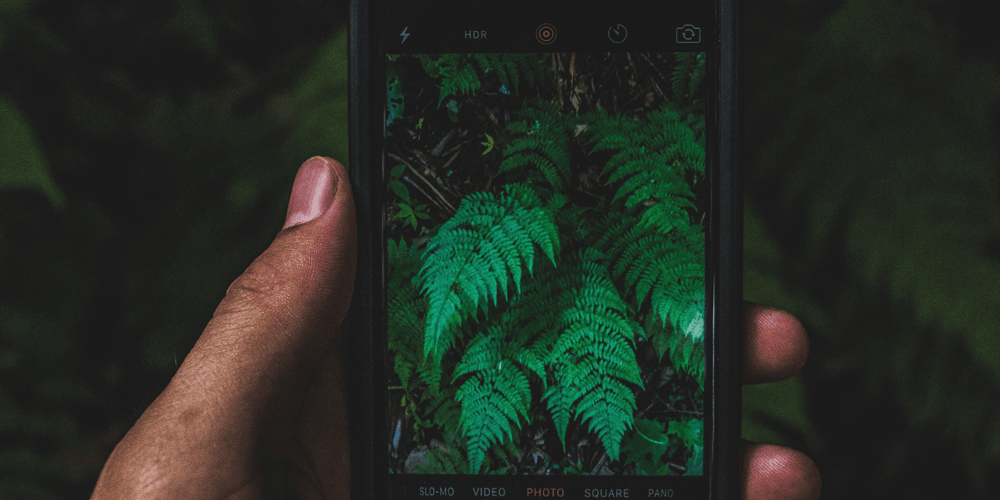 Tips Menghasilkan Foto Sederhana Menjadi Berkesan